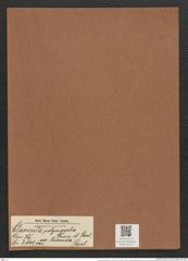 Clavicula polymorpha var. tumida Pant. (de-Toni-Nr.: Genus 75, Species 2800) Zeichnungen Sammlung Grunow Mappe 02975 (Herbarium_W_Grunow_drawings_Folder_02975)
